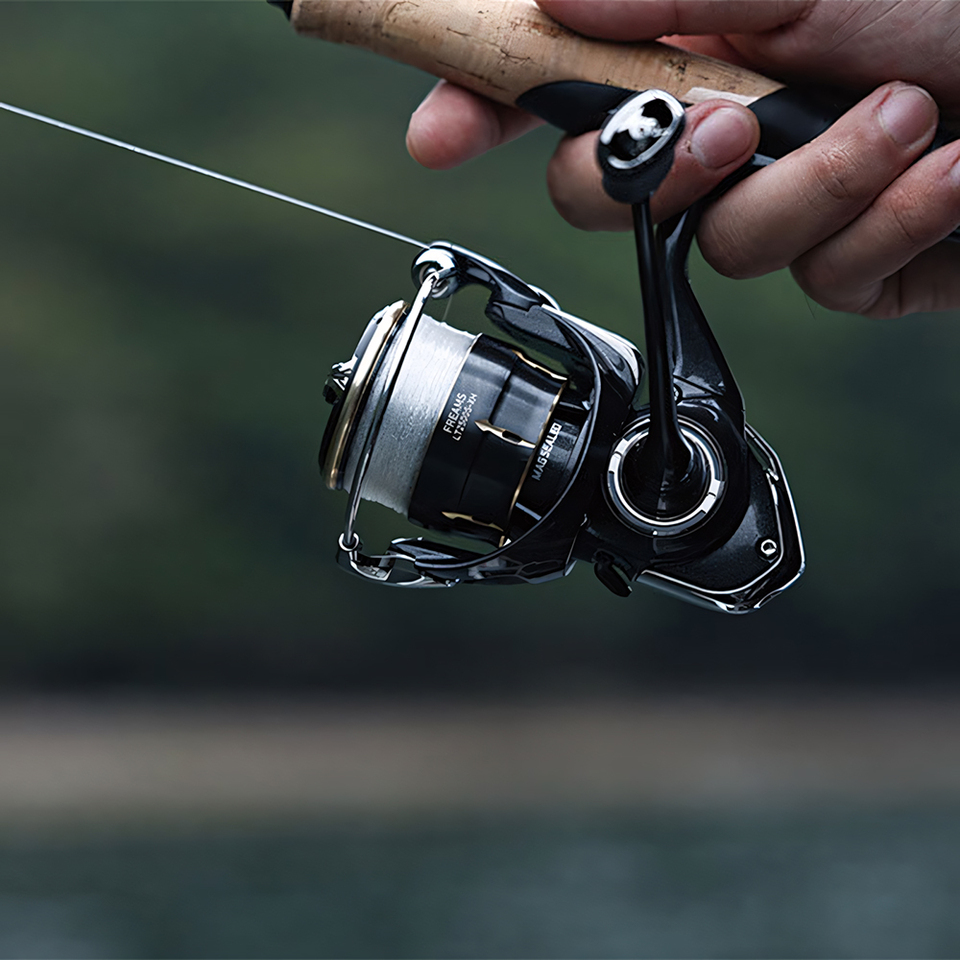 DAIWA 2026 FREAMS Spinning Ree - огляд і ціна Daiwa Reel Bg